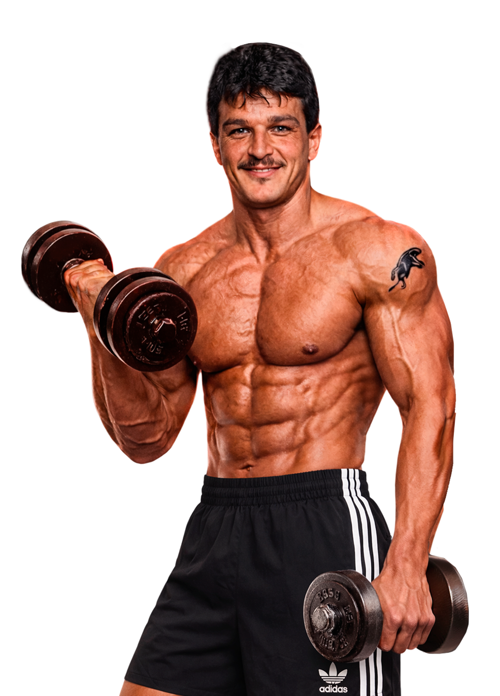 Membre de Bob's Gym en plein curl haltère